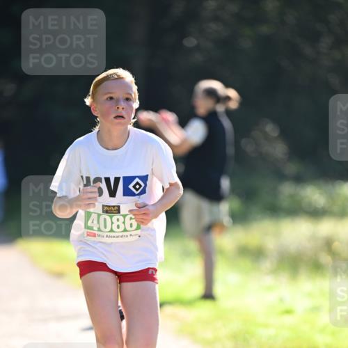 22.09.2024 - 32. Volkslauf durch das schöne Alstertal Dr. Thomas Lammeyer http://msf.ph/oto/7110029 22.09.2024 10:49:12 Laufen 4086 meine-sportfotos.de
