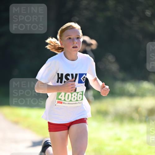 22.09.2024 - 32. Volkslauf durch das schöne Alstertal Dr. Thomas Lammeyer http://msf.ph/oto/7110032 22.09.2024 10:49:13 Laufen 4086 meine-sportfotos.de