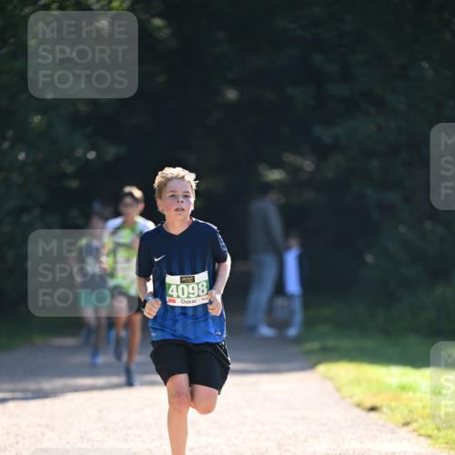 22.09.2024 - 32. Volkslauf durch das schöne Alstertal Dr. Thomas Lammeyer http://msf.ph/oto/7110062 22.09.2024 10:49:21 Laufen 4098 meine-sportfotos.de