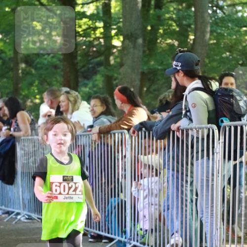 22.09.2024 - 32. Volkslauf durch das schöne Alstertal H.Heesch http://msf.ph/oto/7110064 22.09.2024 10:44:17 Ziel  meine-sportfotos.de
