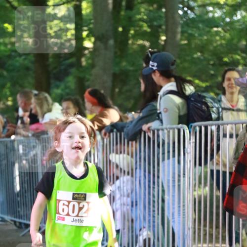 22.09.2024 - 32. Volkslauf durch das schöne Alstertal H.Heesch http://msf.ph/oto/7110071 22.09.2024 10:44:18 Ziel  meine-sportfotos.de