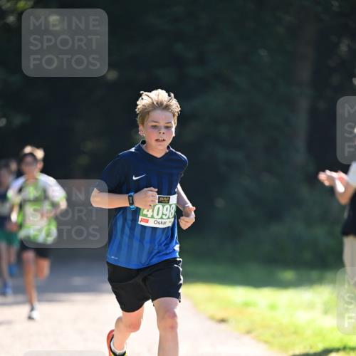 22.09.2024 - 32. Volkslauf durch das schöne Alstertal Dr. Thomas Lammeyer http://msf.ph/oto/7110072 22.09.2024 10:49:22 Laufen 4098 meine-sportfotos.de