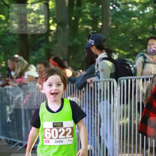 22.09.2024 - 32. Volkslauf durch das schöne Alstertal H.Heesch http://msf.ph/oto/7110075 22.09.2024 10:44:18 Ziel  meine-sportfotos.de