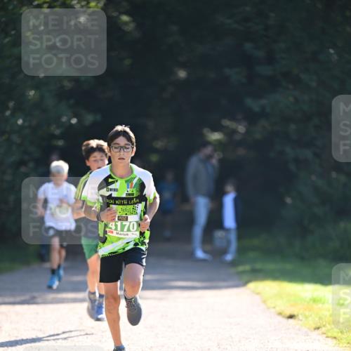 22.09.2024 - 32. Volkslauf durch das schöne Alstertal Dr. Thomas Lammeyer http://msf.ph/oto/7110086 22.09.2024 10:49:24 Laufen 226, 4170 meine-sportfotos.de