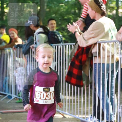 22.09.2024 - 32. Volkslauf durch das schöne Alstertal H.Heesch http://msf.ph/oto/7110089 22.09.2024 10:44:22 Ziel  meine-sportfotos.de