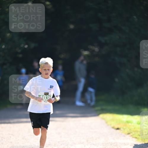 22.09.2024 - 32. Volkslauf durch das schöne Alstertal Dr. Thomas Lammeyer http://msf.ph/oto/7110113 22.09.2024 10:49:28 Laufen 1036 meine-sportfotos.de