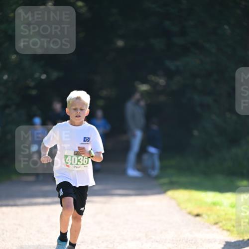 22.09.2024 - 32. Volkslauf durch das schöne Alstertal Dr. Thomas Lammeyer http://msf.ph/oto/7110114 22.09.2024 10:49:28 Laufen 4036 meine-sportfotos.de