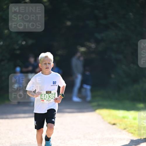 22.09.2024 - 32. Volkslauf durch das schöne Alstertal Dr. Thomas Lammeyer http://msf.ph/oto/7110117 22.09.2024 10:49:29 Laufen 4036 meine-sportfotos.de