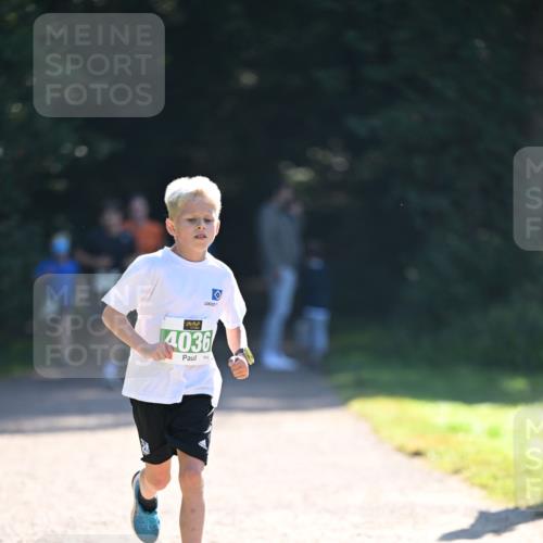 22.09.2024 - 32. Volkslauf durch das schöne Alstertal Dr. Thomas Lammeyer http://msf.ph/oto/7110119 22.09.2024 10:49:29 Laufen 4036 meine-sportfotos.de