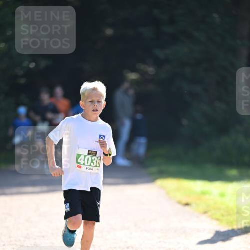 22.09.2024 - 32. Volkslauf durch das schöne Alstertal Dr. Thomas Lammeyer http://msf.ph/oto/7110120 22.09.2024 10:49:29 Laufen 4036 meine-sportfotos.de