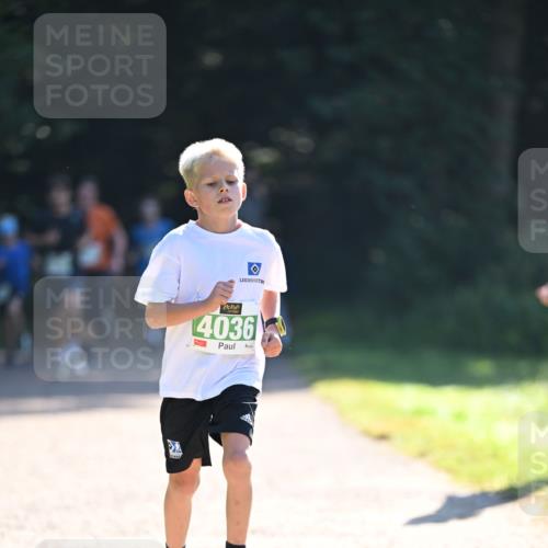 22.09.2024 - 32. Volkslauf durch das schöne Alstertal Dr. Thomas Lammeyer http://msf.ph/oto/7110124 22.09.2024 10:49:29 Laufen 4036 meine-sportfotos.de