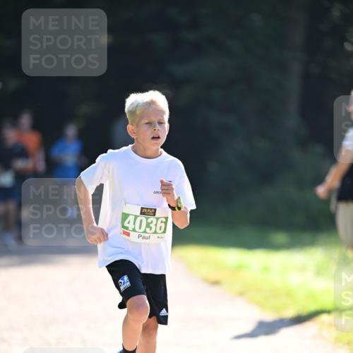 22.09.2024 - 32. Volkslauf durch das schöne Alstertal Dr. Thomas Lammeyer http://msf.ph/oto/7110127 22.09.2024 10:49:30 Laufen 4036 meine-sportfotos.de