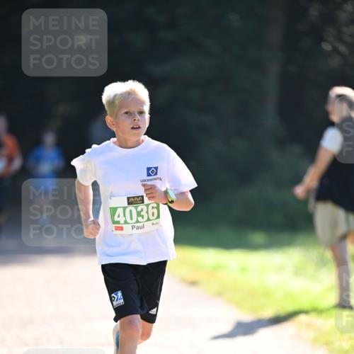 22.09.2024 - 32. Volkslauf durch das schöne Alstertal Dr. Thomas Lammeyer http://msf.ph/oto/7110128 22.09.2024 10:49:30 Laufen 4036 meine-sportfotos.de