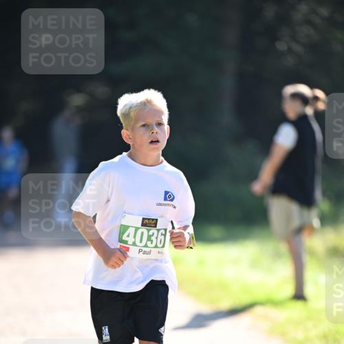 22.09.2024 - 32. Volkslauf durch das schöne Alstertal Dr. Thomas Lammeyer http://msf.ph/oto/7110132 22.09.2024 10:49:30 Laufen 4036 meine-sportfotos.de