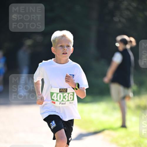 22.09.2024 - 32. Volkslauf durch das schöne Alstertal Dr. Thomas Lammeyer http://msf.ph/oto/7110134 22.09.2024 10:49:30 Laufen 4036 meine-sportfotos.de