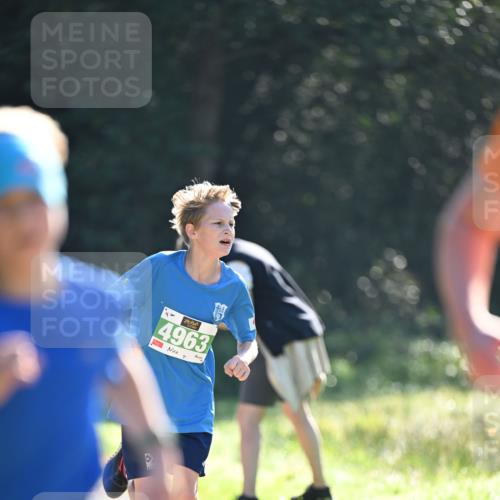 22.09.2024 - 32. Volkslauf durch das schöne Alstertal Dr. Thomas Lammeyer http://msf.ph/oto/7110170 22.09.2024 10:49:38 Laufen 4, 4963 meine-sportfotos.de