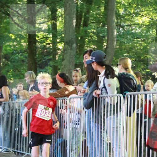 22.09.2024 - 32. Volkslauf durch das schöne Alstertal H.Heesch http://msf.ph/oto/7110207 22.09.2024 10:44:56 Ziel 5034, 5037, 5038 meine-sportfotos.de