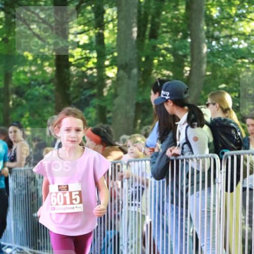 22.09.2024 - 32. Volkslauf durch das schöne Alstertal H.Heesch http://msf.ph/oto/7110223 22.09.2024 10:44:57 Ziel 5034, 5037, 5038 meine-sportfotos.de