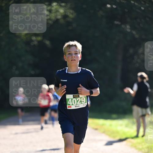 22.09.2024 - 32. Volkslauf durch das schöne Alstertal Dr. Thomas Lammeyer http://msf.ph/oto/7110258 22.09.2024 10:50:17 Laufen 4029 meine-sportfotos.de