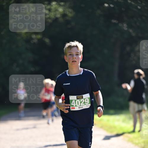 22.09.2024 - 32. Volkslauf durch das schöne Alstertal Dr. Thomas Lammeyer http://msf.ph/oto/7110260 22.09.2024 10:50:17 Laufen 4029 meine-sportfotos.de