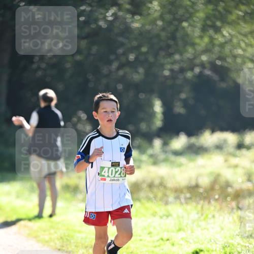 22.09.2024 - 32. Volkslauf durch das schöne Alstertal Dr. Thomas Lammeyer http://msf.ph/oto/7110264 22.09.2024 10:50:19 Laufen 4028 meine-sportfotos.de