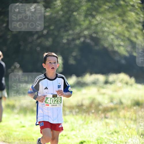 22.09.2024 - 32. Volkslauf durch das schöne Alstertal Dr. Thomas Lammeyer http://msf.ph/oto/7110269 22.09.2024 10:50:19 Laufen 4028 meine-sportfotos.de