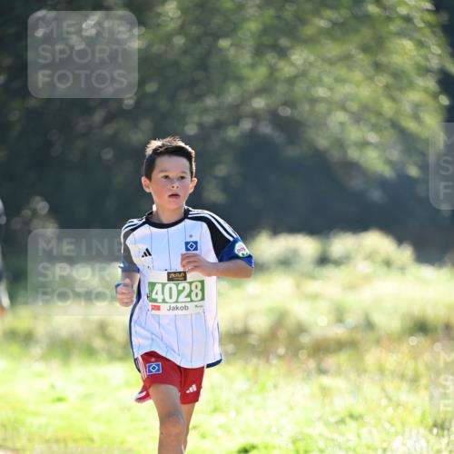22.09.2024 - 32. Volkslauf durch das schöne Alstertal Dr. Thomas Lammeyer http://msf.ph/oto/7110270 22.09.2024 10:50:19 Laufen 4028 meine-sportfotos.de