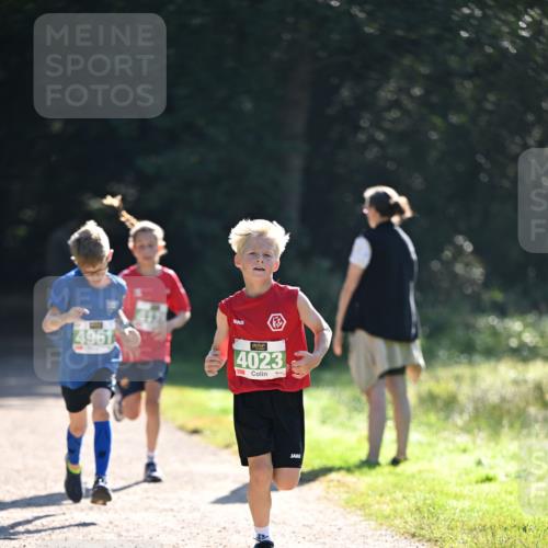 22.09.2024 - 32. Volkslauf durch das schöne Alstertal Dr. Thomas Lammeyer http://msf.ph/oto/7110275 22.09.2024 10:50:20 Laufen 4961, 4023 meine-sportfotos.de