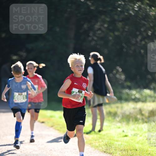 22.09.2024 - 32. Volkslauf durch das schöne Alstertal Dr. Thomas Lammeyer http://msf.ph/oto/7110279 22.09.2024 10:50:20 Laufen 4961 meine-sportfotos.de