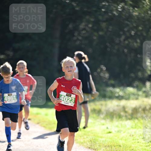 22.09.2024 - 32. Volkslauf durch das schöne Alstertal Dr. Thomas Lammeyer http://msf.ph/oto/7110281 22.09.2024 10:50:20 Laufen 4961, 4023 meine-sportfotos.de