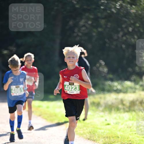 22.09.2024 - 32. Volkslauf durch das schöne Alstertal Dr. Thomas Lammeyer http://msf.ph/oto/7110283 22.09.2024 10:50:21 Laufen 4961, 4023 meine-sportfotos.de