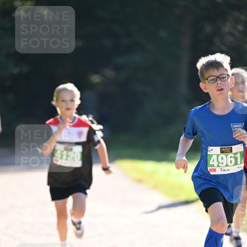 22.09.2024 - 32. Volkslauf durch das schöne Alstertal Dr. Thomas Lammeyer http://msf.ph/oto/7110300 22.09.2024 10:50:22 Laufen 120, 4961 meine-sportfotos.de