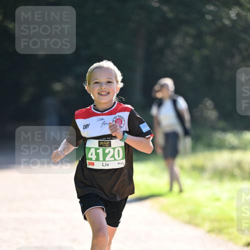 22.09.2024 - 32. Volkslauf durch das schöne Alstertal Dr. Thomas Lammeyer http://msf.ph/oto/7110314 22.09.2024 10:50:23 Laufen 10, 4120 meine-sportfotos.de