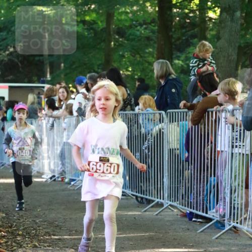 22.09.2024 - 32. Volkslauf durch das schöne Alstertal H.Heesch http://msf.ph/oto/7110346 22.09.2024 10:45:51 Ziel 5007, 5040, 5046 meine-sportfotos.de