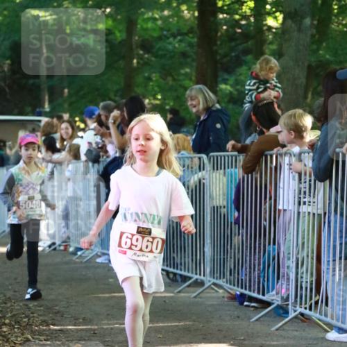 22.09.2024 - 32. Volkslauf durch das schöne Alstertal H.Heesch http://msf.ph/oto/7110351 22.09.2024 10:45:51 Ziel 5007, 5040, 5046 meine-sportfotos.de