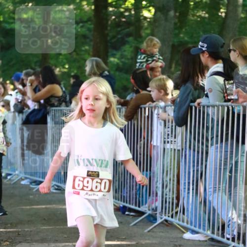 22.09.2024 - 32. Volkslauf durch das schöne Alstertal H.Heesch http://msf.ph/oto/7110360 22.09.2024 10:45:51 Ziel 5007, 5040, 5046 meine-sportfotos.de