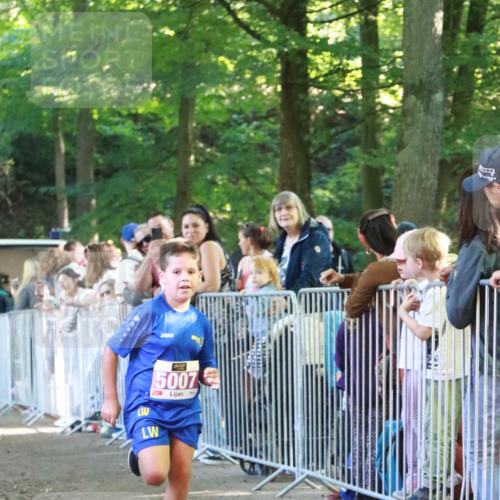22.09.2024 - 32. Volkslauf durch das schöne Alstertal H.Heesch http://msf.ph/oto/7110386 22.09.2024 10:45:56 Ziel 5007, 5040 meine-sportfotos.de