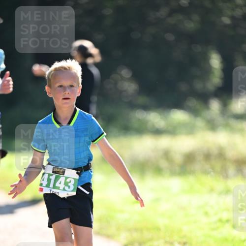 22.09.2024 - 32. Volkslauf durch das schöne Alstertal Dr. Thomas Lammeyer http://msf.ph/oto/7110422 22.09.2024 10:50:54 Laufen 4143 meine-sportfotos.de