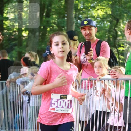 22.09.2024 - 32. Volkslauf durch das schöne Alstertal H.Heesch http://msf.ph/oto/7110626 22.09.2024 10:47:12 Ziel 5001, 5002, 5042, 5966 meine-sportfotos.de