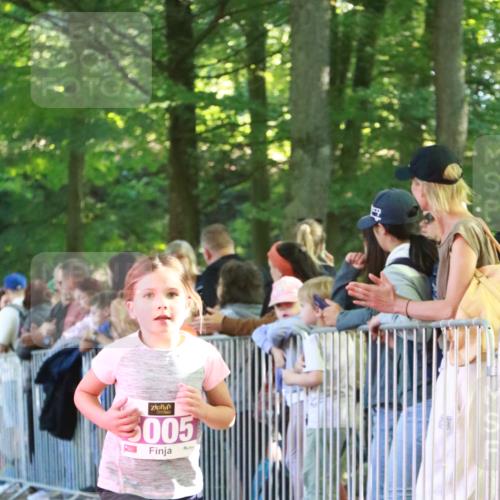 22.09.2024 - 32. Volkslauf durch das schöne Alstertal H.Heesch http://msf.ph/oto/7110645 22.09.2024 10:47:20 Ziel 5005, 5041 meine-sportfotos.de