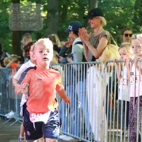 22.09.2024 - 32. Volkslauf durch das schöne Alstertal H.Heesch http://msf.ph/oto/7110697 22.09.2024 10:47:27 Ziel 5011, 5041, 5044, 5045 meine-sportfotos.de