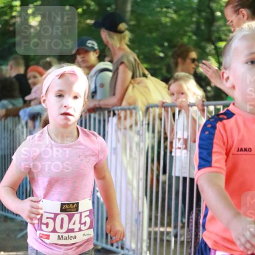22.09.2024 - 32. Volkslauf durch das schöne Alstertal H.Heesch http://msf.ph/oto/7110721 22.09.2024 10:47:28 Ziel 5011, 5041, 5044, 5045 meine-sportfotos.de