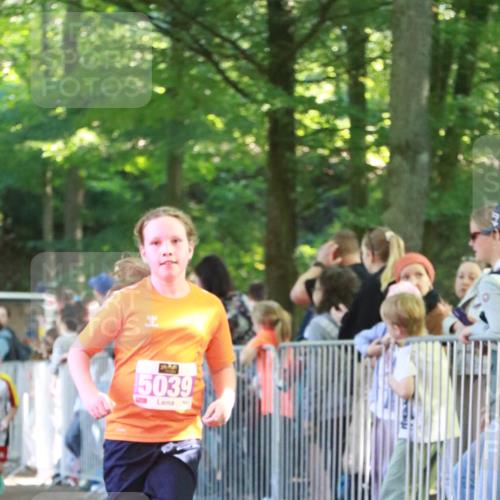 22.09.2024 - 32. Volkslauf durch das schöne Alstertal H.Heesch http://msf.ph/oto/7110777 22.09.2024 10:48:24 Ziel 5008, 5009, 5039, 5977 meine-sportfotos.de