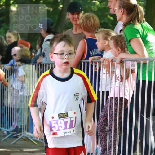 22.09.2024 - 32. Volkslauf durch das schöne Alstertal H.Heesch http://msf.ph/oto/7110817 22.09.2024 10:48:28 Ziel 5008, 5009, 5039, 5969, 5977 meine-sportfotos.de