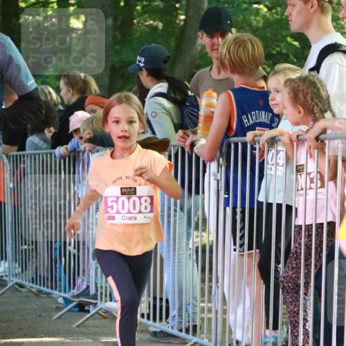 22.09.2024 - 32. Volkslauf durch das schöne Alstertal H.Heesch http://msf.ph/oto/7110826 22.09.2024 10:48:29 Ziel 5008, 5009, 5020, 5039, 5969, 5977 meine-sportfotos.de