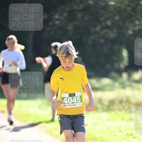 22.09.2024 - 32. Volkslauf durch das schöne Alstertal Dr. Thomas Lammeyer http://msf.ph/oto/7110827 22.09.2024 10:51:37 Laufen 4045 meine-sportfotos.de
