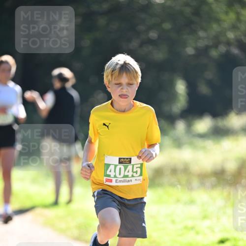 22.09.2024 - 32. Volkslauf durch das schöne Alstertal Dr. Thomas Lammeyer http://msf.ph/oto/7110836 22.09.2024 10:51:37 Laufen 4045 meine-sportfotos.de