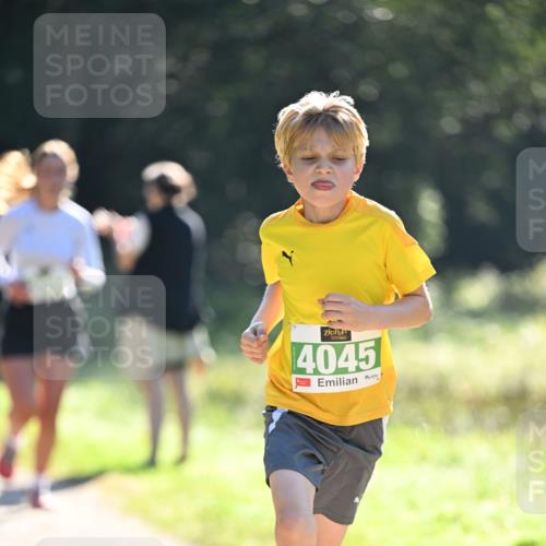 22.09.2024 - 32. Volkslauf durch das schöne Alstertal Dr. Thomas Lammeyer http://msf.ph/oto/7110838 22.09.2024 10:51:37 Laufen 4045 meine-sportfotos.de