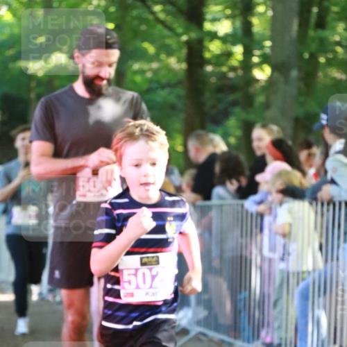 22.09.2024 - 32. Volkslauf durch das schöne Alstertal H.Heesch http://msf.ph/oto/7110877 22.09.2024 10:48:35 Ziel 5008, 5009, 5013, 5020, 5028, 5036, 5969, 5971 meine-sportfotos.de