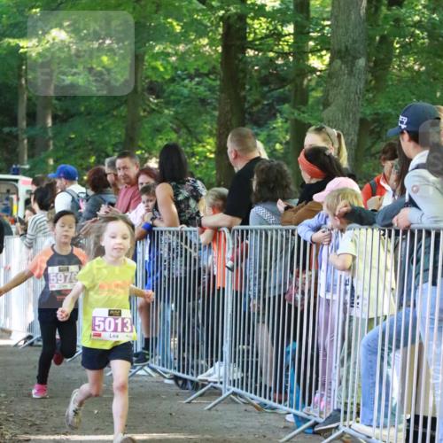 22.09.2024 - 32. Volkslauf durch das schöne Alstertal H.Heesch http://msf.ph/oto/7110902 22.09.2024 10:48:39 Ziel 5013, 5020, 5024, 5028, 5036, 5969, 5971, 5975, 5976 meine-sportfotos.de